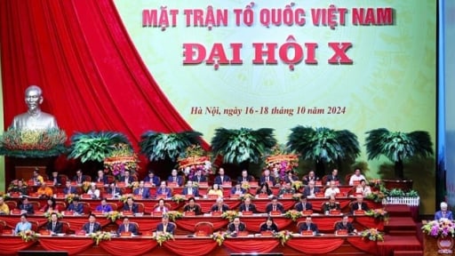 MTTQ Việt Nam hướng dẫn sắp xếp, tinh gọn, hợp nhất các hội quần chúng cấp tỉnh, xã