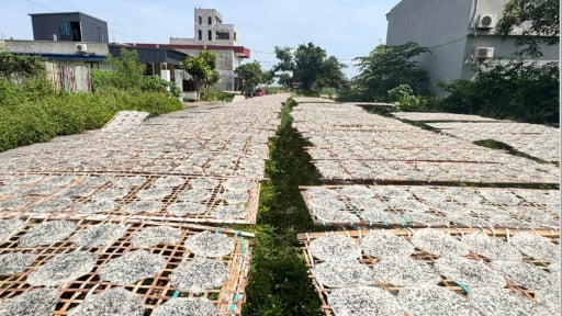  Nghề cổ hơn 1.000 năm tuổi ở Hải Phòng, nông dân nay vẫn làm, 'nhận lương' cao 25-30 triệu/tháng