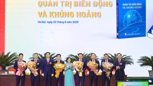 

Quản trị biến động: Từ kinh nghiệm sống động đến lý luận nền tảng