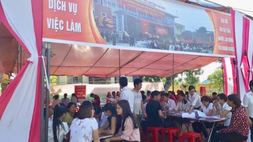 Nam Định: Ứng dụng công nghệ giúp giải quyết nhanh chế độ trợ cấp thất nghiệp cho lao động