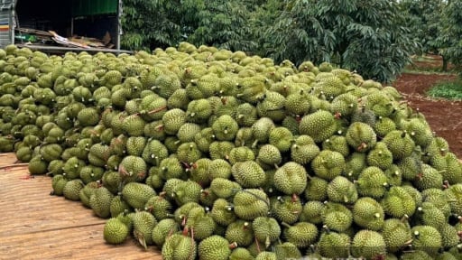 Mỹ áp thuế đối ứng với Việt Nam: Doanh nghiệp Việt cần làm gì?