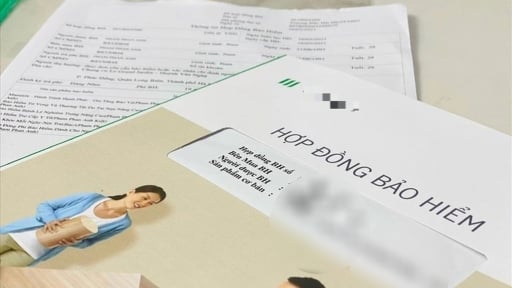 Tranh chấp Hợp đồng bảo hiểm nhân thọ: Cẩn trọng để không rơi vào vòng lao lý