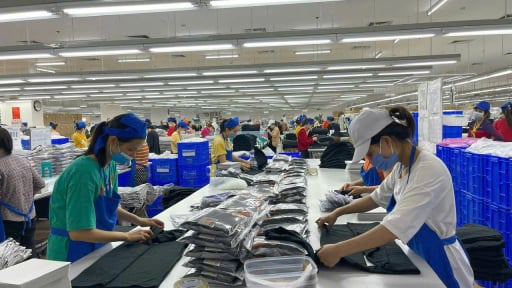 
Phòng ngừa thất nghiệp: Lao động cần nhiều hơn những khoản trợ cấp