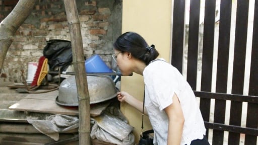 Dịch sốt xuất huyết phức tạp, Hà Nội làm gì để phòng, chống dịch?