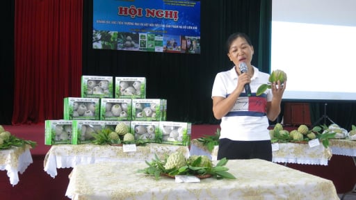  Quả gì ăn bở, xưa chê dở, nay hóa quả đặc sản, vùng  trồng lớn nhất Hải Phòng đang tổ chức một hoạt động quan trọng