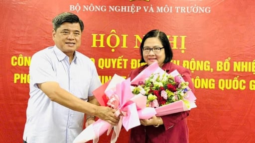 Bà Huỳnh Kim Định được bổ nhiệm giữ chức Phó Giám đốc Trung tâm Khuyến nông Quốc gia