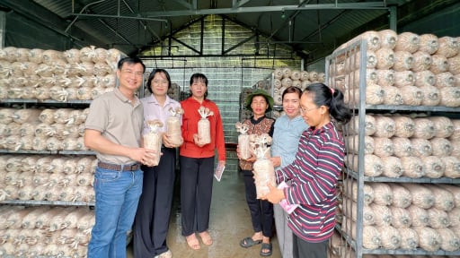 Kỹ sư cầu đường ở Đắk Lắk về làm nông, cho ra đời 5 sản phẩm OCOP từ phế phẩm nông nghiệp