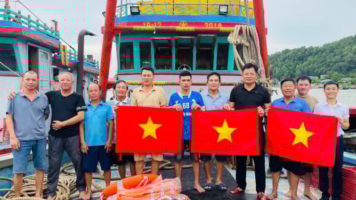 Trúng đàn cá to, ngư dân phường Cửa Lò ở Nghệ An bỏ túi 30 triệu đồng/đêm ra biển