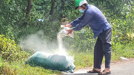 Dịch tả lợn châu Phi bùng phát tại Quảng Trị: Chủ động phòng chống, không chỉ chờ người dân báo tin