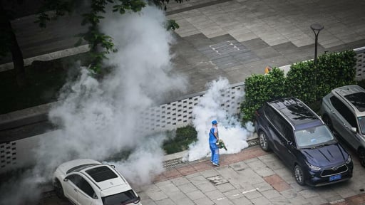 Bệnh chikungunya đang lây lan toàn cầu có đáng lo không?