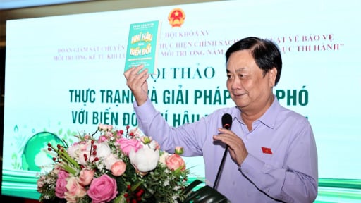 Thị trường tín chỉ carbon: Đại biểu nóng lòng về thời gian thực thi sàn giao dịch
