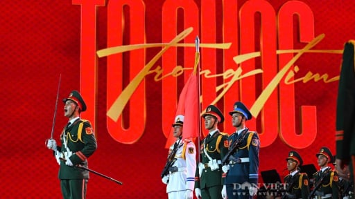 Bài dự thi 'Việt Nam trong tôi': Hào khí Việt Nam