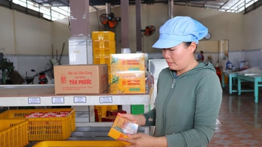 Chị gái Tiền Giang góp thêm cho quê mới Đồng Tháp thứ kẹo làm từ trái khóm Tân Phước nổi tiếng Đồng Tháp Mười