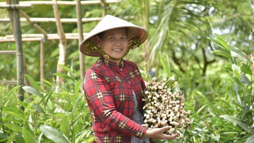 Bất ngờ ở An Giang, loại rau đặc sản tốt um này hóa ra ăn lại ngon, chống oxy hóa, tốt cho tim mạch 