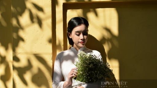 Ký ức Hà Nội: Lắng nghe nhịp đập trái tim của Thủ đô đang vươn mình