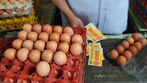 Giá trứng gà không còn rẻ, siêu thị cũng ngưng khuyến mãi