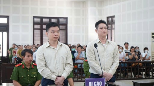Chiếm đoạt gần 140 tỷ đồng bằng chiêu“bẫy” tiết kiệm, 2 giám đốc lĩnh án chung thân