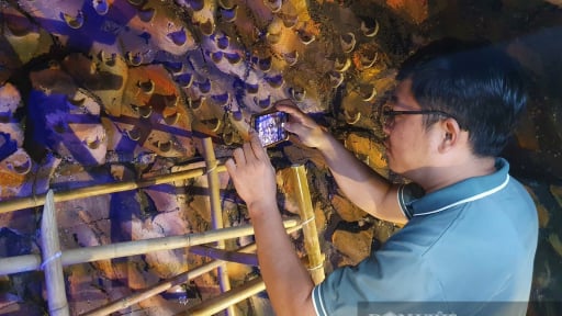 Loại “vàng trắng” tinh túy triệu USD của Khánh Hòa sẽ về TP.HCM, tái hiện ngay trên phố đi bộ Nguyễn Huệ