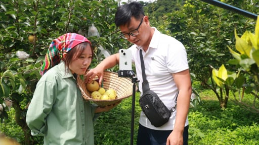 Xã này ở Sơn La có nhiều nông dân dùng thạo điện thoại, livestream bán hàng mà thành triệu phú, tỷ phú 