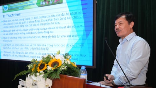 Sữa tươi sạch: Lựa chọn vì tầm vóc dân tộc và nền nông nghiệp tự chủ