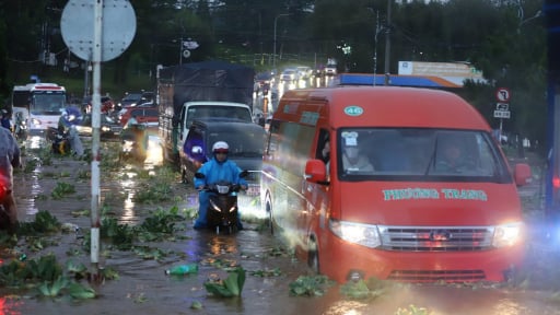 TP. Đà Lạt (cũ) 'ngập sâu' sau mưa lớn kéo dài, phải tạm sơ tán người dân