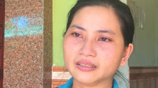 Vụ anh nông dân Nghệ An lĩnh 6 năm tù vì bán gà lôi trắng: Cả xóm 'sốc', xóm trưởng cũng 'không biết là vật quý hiếm' 
