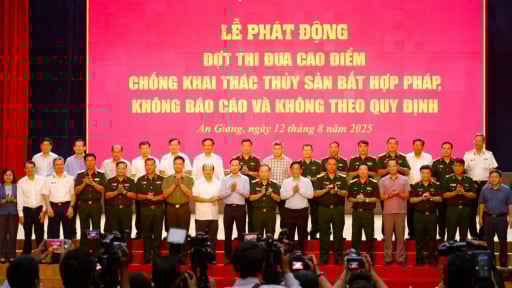 An Giang đưa các tàu cá thuộc diện nguy cơ cao vào diện quản lý chặt chẽ, không cho hoạt động trước ngày 20/8