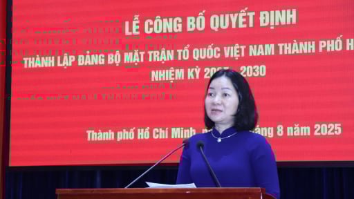 Bà Trương Thị Bích Hạnh làm Bí thư Đảng ủy MTTQ Việt Nam TP.HCM