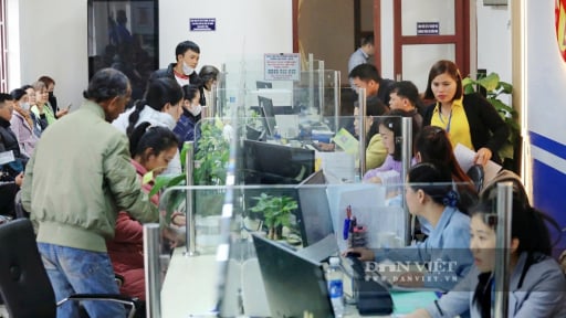 Bộ Nông nghiệp và Môi trường cử 34 công chức hỗ trợ địa phương thực hiện nhiệm vụ lĩnh vực đất đai