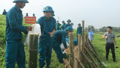 Hà Nội: Diễn tập xử lý tốt các tình huống giả định về sự cố đê điều