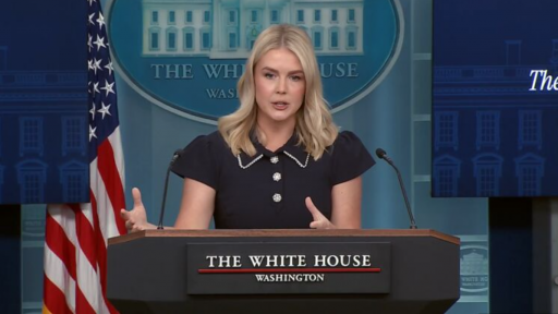 Nhà Trắng nêu lý do ông Zelensky không được mời đến hội nghị thượng đỉnh Trump - Putin