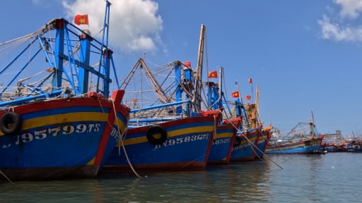 TP.HCM triển khai tháng cao điểm chống khai thác IUU, sẽ dán tên tàu cá chưa đủ điều kiện khai thác tại trụ sở UBND xã
