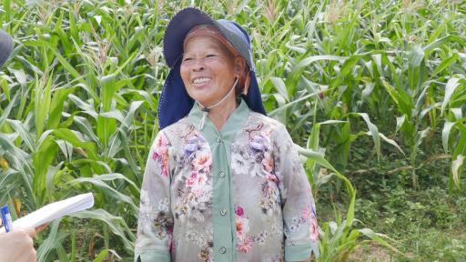 Cách nông dân chống hạn bằng đổi mới sáng tạo tại Tây Nguyên