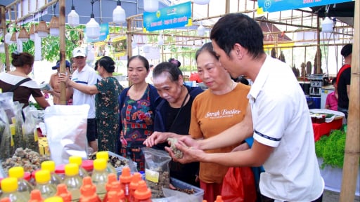 Hà Nội hướng tới 22 sản phẩm OCOP 5 sao, đẩy mạnh tuần hàng OCOP đưa đặc sản vùng miền về Thủ đô