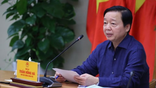Ngăn dịch tả lợn châu Phi, Phó Thủ tướng Trần Hồng Hà yêu cầu rà soát hệ thống thú y từ Trung ương đến xã