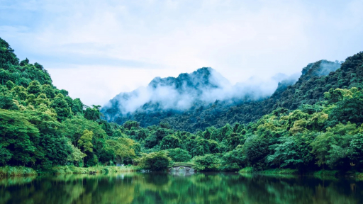 Du khách ở Hải Phòng mất tích bí ẩn trong rừng Cúc Phương