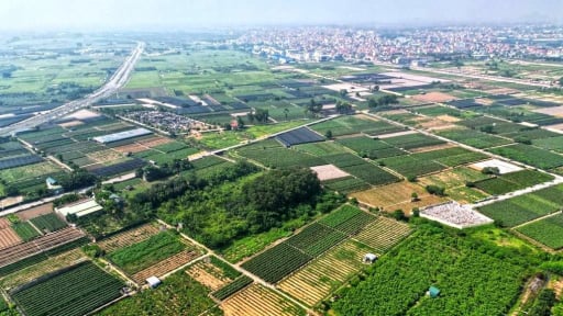 Chuyển nhượng quyền sử dụng đất phải đảm bảo điều kiện gì mới được xem là hợp lệ? 