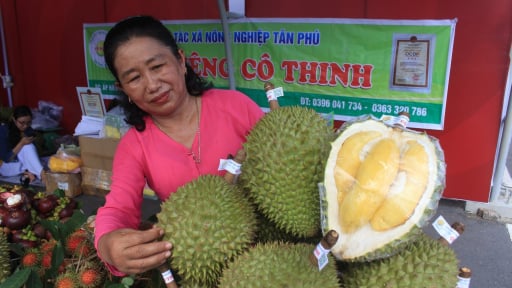 Mỹ áp thuế đối ứng 20% với Việt Nam: Đối tác lớn e dè đặt hàng, doanh nghiệp Việt bắt đầu thấy ngấm đòn