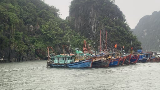 Quảng Ninh tạm ngừng cấp phép tàu hoạt động du lịch để ứng phó áp thấp nhiệt đới