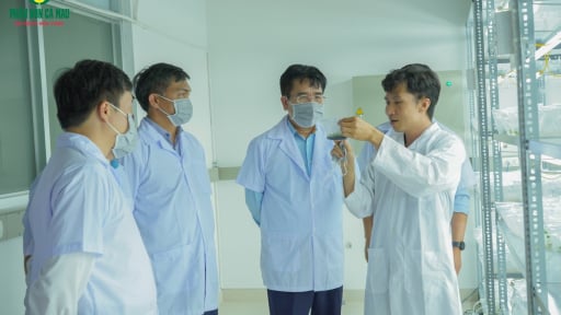 R&D PVCFC chiến lược phát triển lõi, bệ phóng tăng trưởng dài hạn của DCM