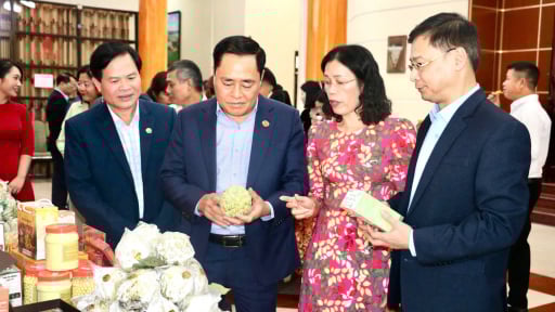 Nông dân Lạng Sơn sắp đối thoại trực tiếp với Chủ tịch UBND tỉnh, đón cơ hội từ chuyển đổi số