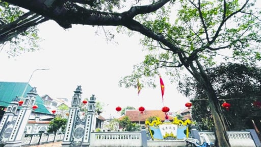 Bài dự thi 'Việt Nam trong tôi': Âm vang Cố thổ