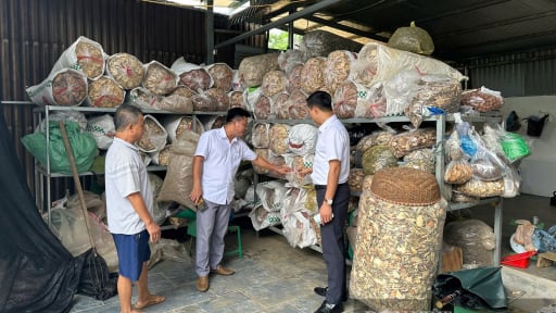 Xã Ba Vì (Hà Nội): Buộc tháo biển, gỡ quảng cáo 'thần y mạng' sau phản ánh của Báo Dân Việt