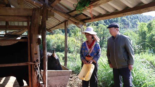 Nông thôn Tây Bắc: Già làng Cứ Chừ Tú, người 'thắp sáng' bản Tìa Ló B