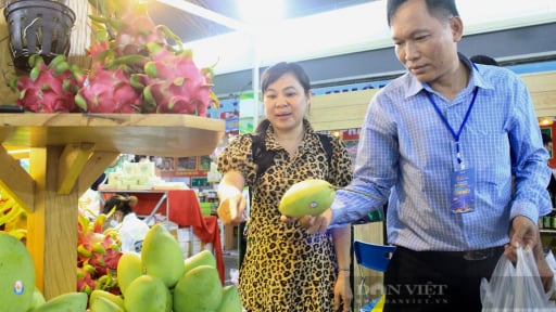 Bắt đầu ngấm đòn vì thuế đối ứng, doanh nghiệp Việt có còn rộng đường xuất khẩu vào Mỹ?
