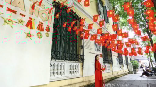 Cuộc thi viết 'Việt Nam trong tôi': Khơi dậy cảm xúc, lan tỏa niềm tự hào dân tộc!