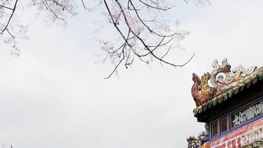  'Sanh cầm' từng có ở Huế là món quý phái gì mà 'nhâm nhi' bổ thận tráng dương, nam nhân nào cũng mong cầu?
