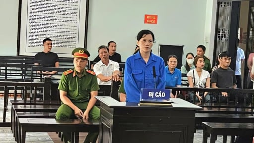 Trưởng phòng giao dịch của ngân hàng cấu kết với tổng giám đốc doanh nghiệp lừa đảo hơn 39 tỷ đồng