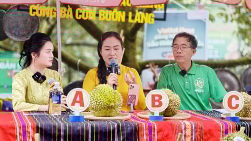 Nữ Bí thư xã-nơi trồng sầu riêng lớn nhất, nhì tỉnh Đắk Lắk cùng nông dân livestream bán quả ngon 'tiền tỷ'