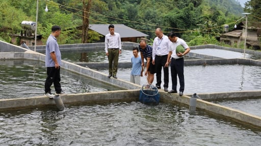 Nông thôn mới ở Mường Bo của tỉnh Lào Cai, xây dựng miền quê đáng sống có các mô hình sản xuất mới